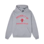 EE Chicago Bulls Gray Hoodie